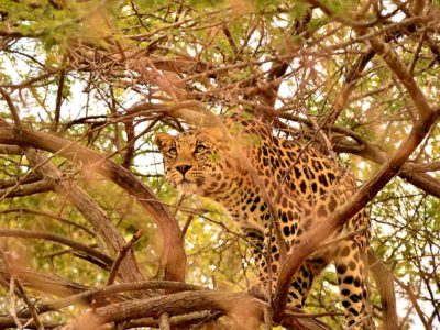 vos vacances en afrique du sud