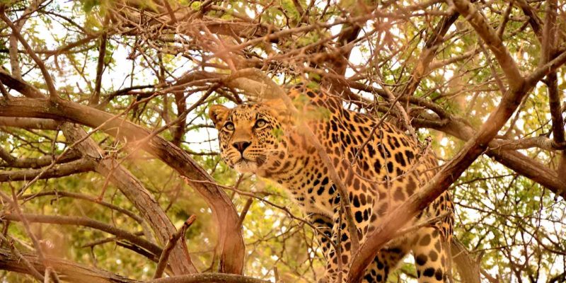 vos vacances en afrique du sud