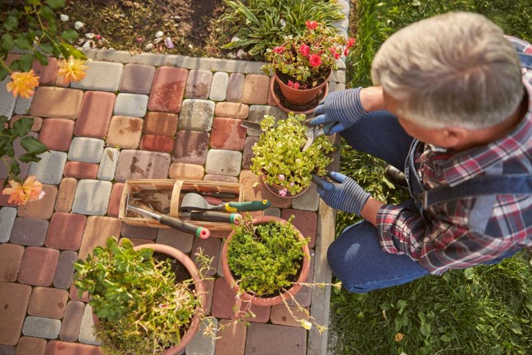 Que faire avec une pince de jardinage ?