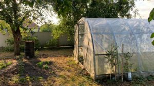 acheter une serre pour votre potager