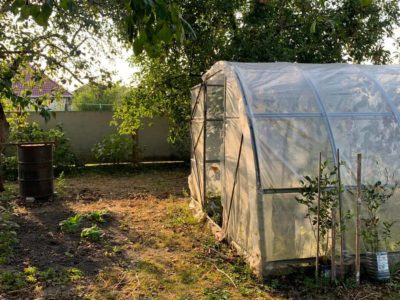 acheter une serre pour votre potager