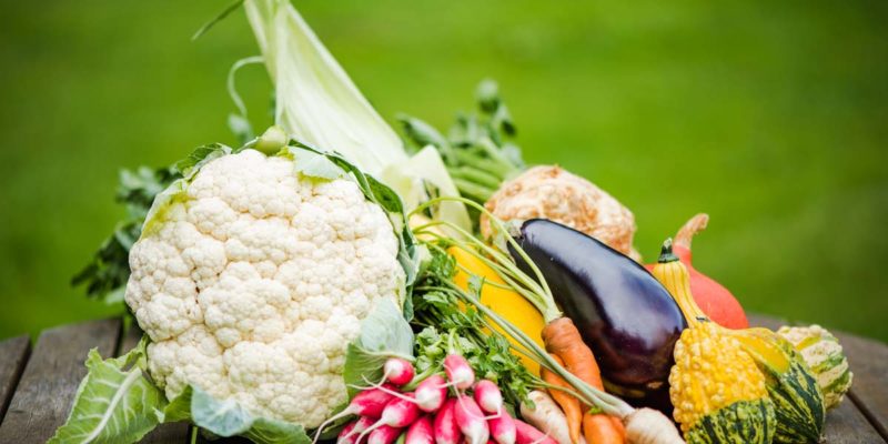 pourquoi utiliser une table de jardinage ?