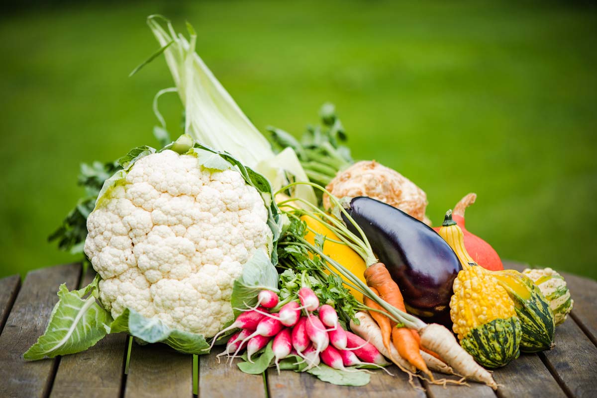 pourquoi utiliser une table de jardinage ?