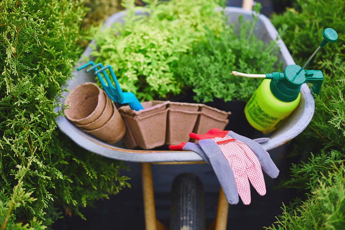 Quels sont les avantages et les inconvénients de la location de matériel de jardinage ?