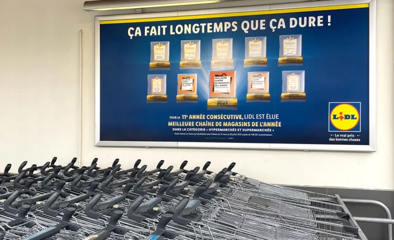 5 plantes à moins de 10€ à acheter rapidement chez Lidl