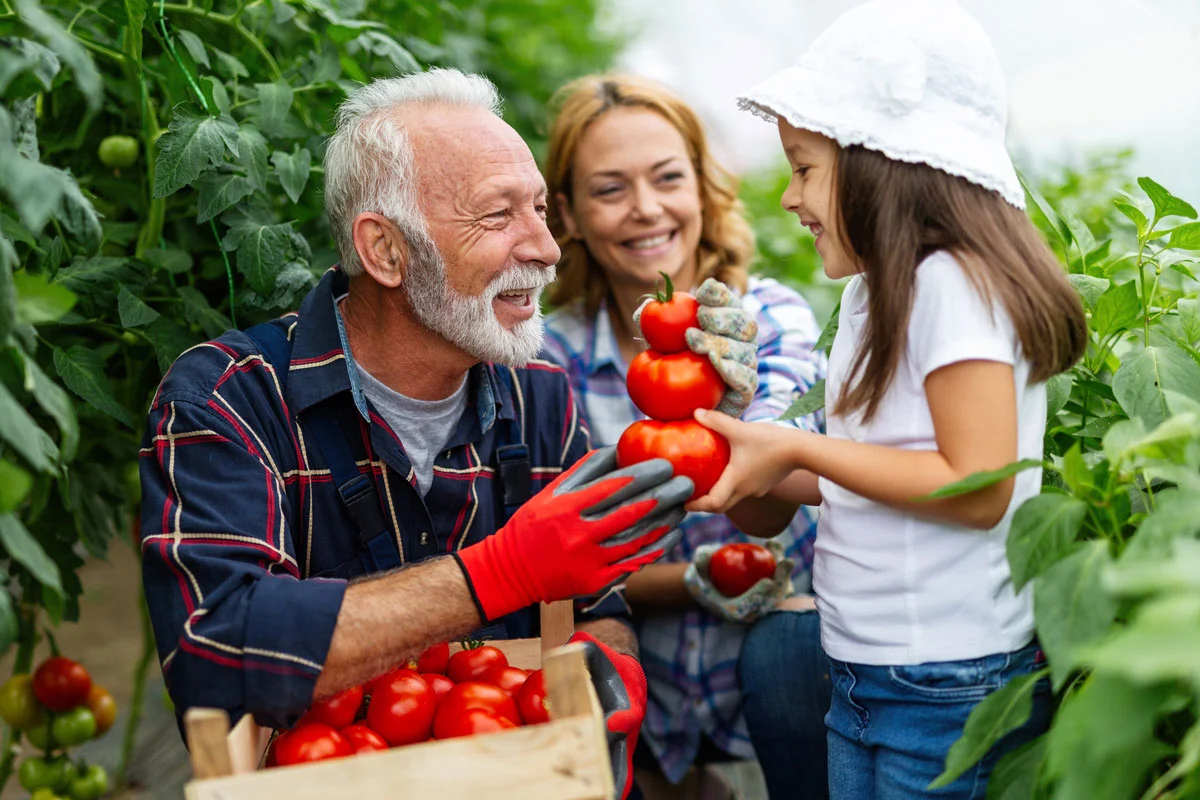 9 légumes simples à cultiver en famille : toutes mes astuces