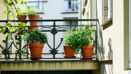 Comment aménager un petit balcon en longueur : Idées et astuces ingénieuses